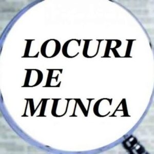 Sute de locuri de muncă vacante în Dâmbovița