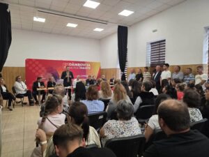 Cine conduce organizațiile PSD din 12 localități din Dâmbovița. Alegerile interne continuă în județ